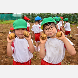 じゃがいも掘り