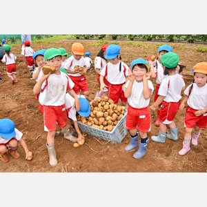 じゃがいも掘り